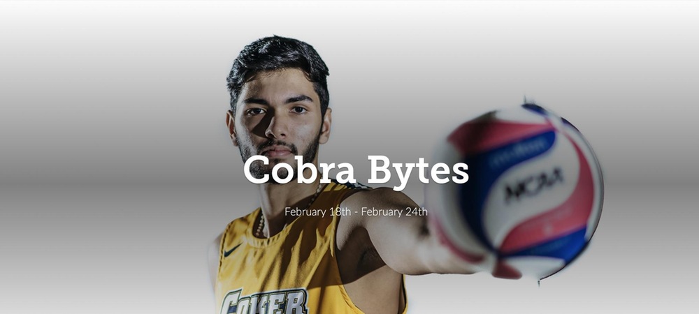 Cobra Bytes: Feb. 18 - Feb. 24
