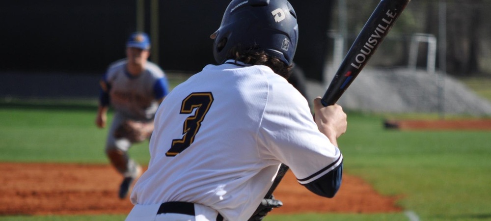 Coker Baseball Falls to Anderson in Home Finale