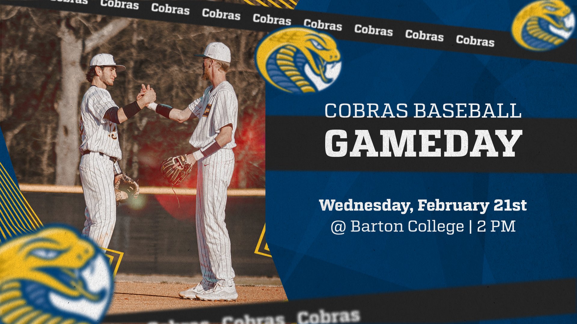 Cobras Fall on the Road to Barton