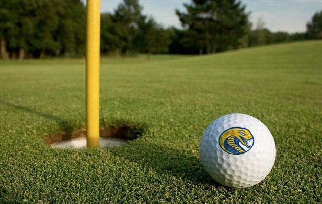 Cobras in Fourteenth After Day One of Aflac/Cougar Invitational