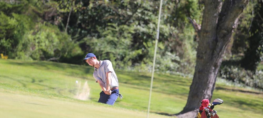 Cobras Tied for Lead After Day One of Queens Invitational; Cairns and Ingle in Top Five Individually