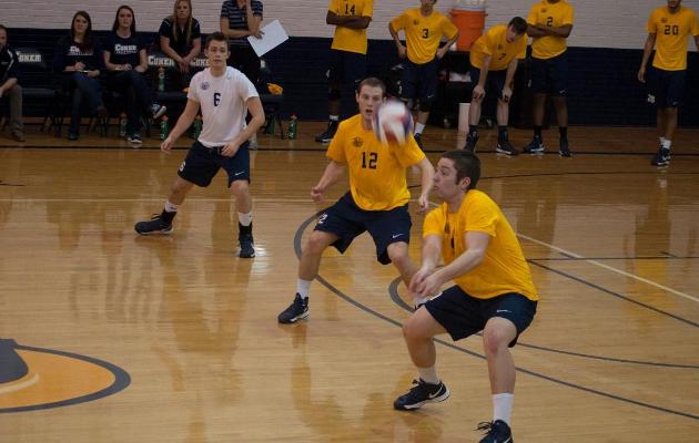 Coker and Limestone to Battle in Men's Volleyball Home Opener Thursday