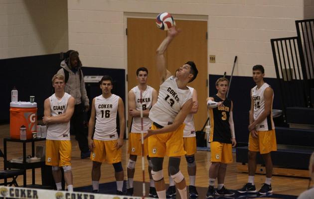 Cobra Men's Volleyball Hits the Road to No. 7 Ohio State