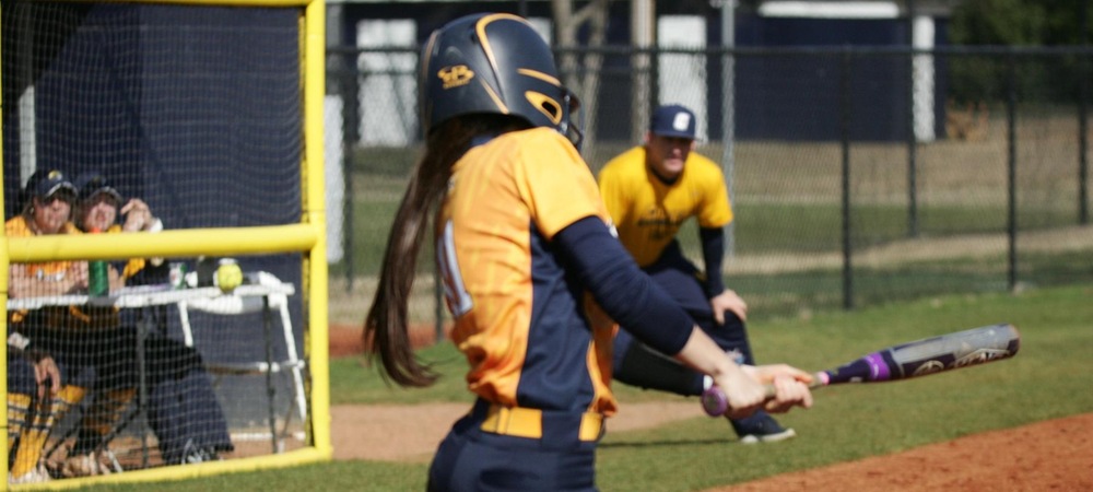 Cobras Drop Two Games at Spring Tournament