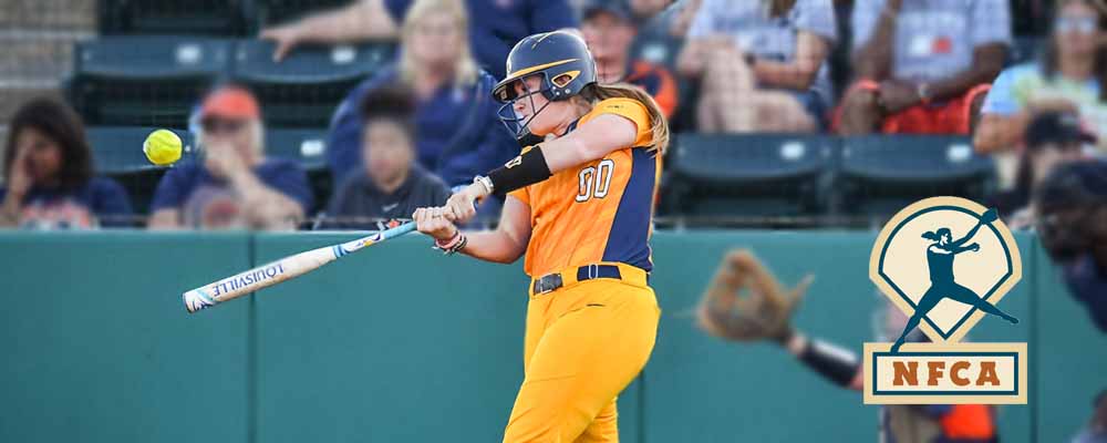 Williamson Named to NFCA Division II All-Southeast Region First-Team