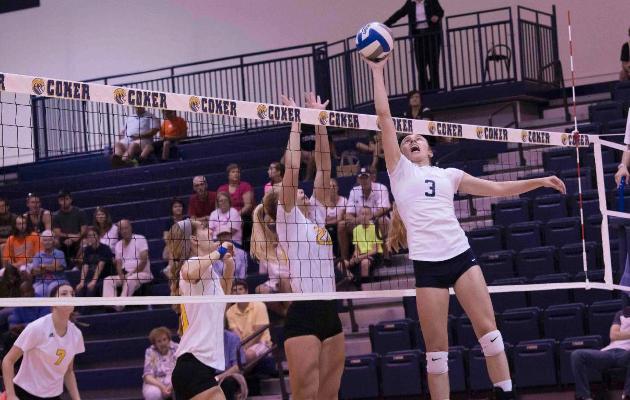 Cobras Sweep Falcons for Non-Conference Win