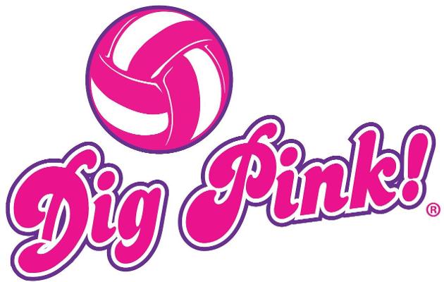 Coker Women's Volleyball to Host Fourth Annual Dig Pink Night