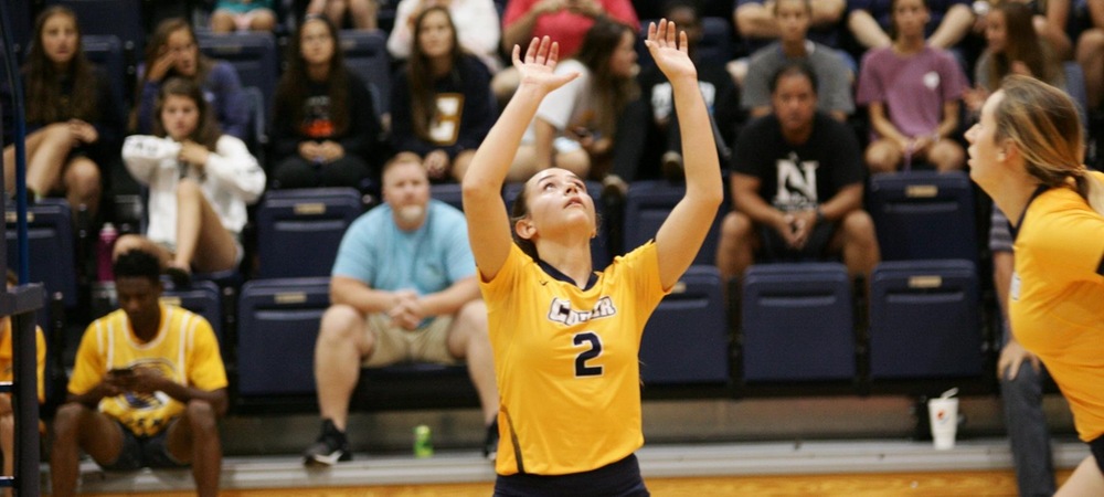 Cobras Fall to Anderson 3-1 in South Atlantic Conference Battle