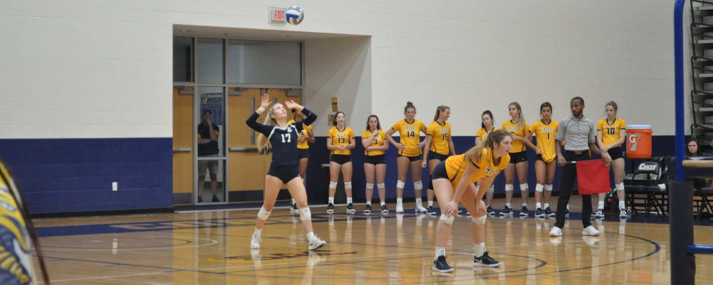 Volleyball Falls in Four to Lenoir-Rhyne Friday Night