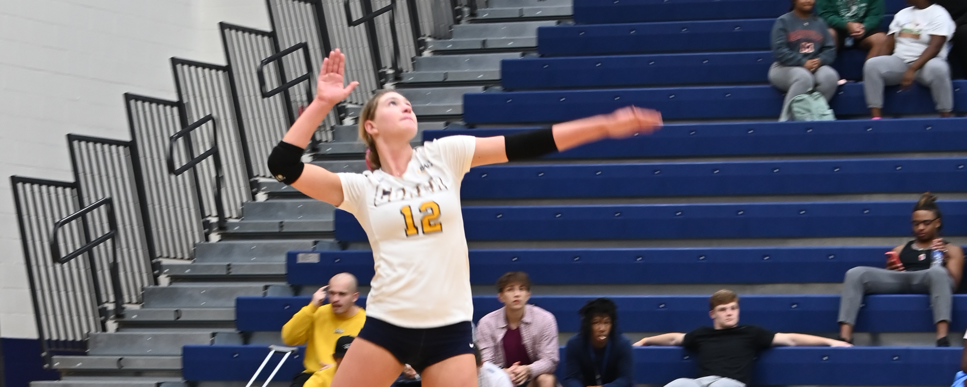 Volleyball Falls to Tusculum Friday Night
