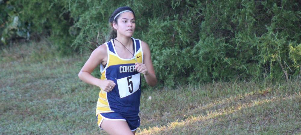 Cross Country Ready to Run USC Open on Wednesday