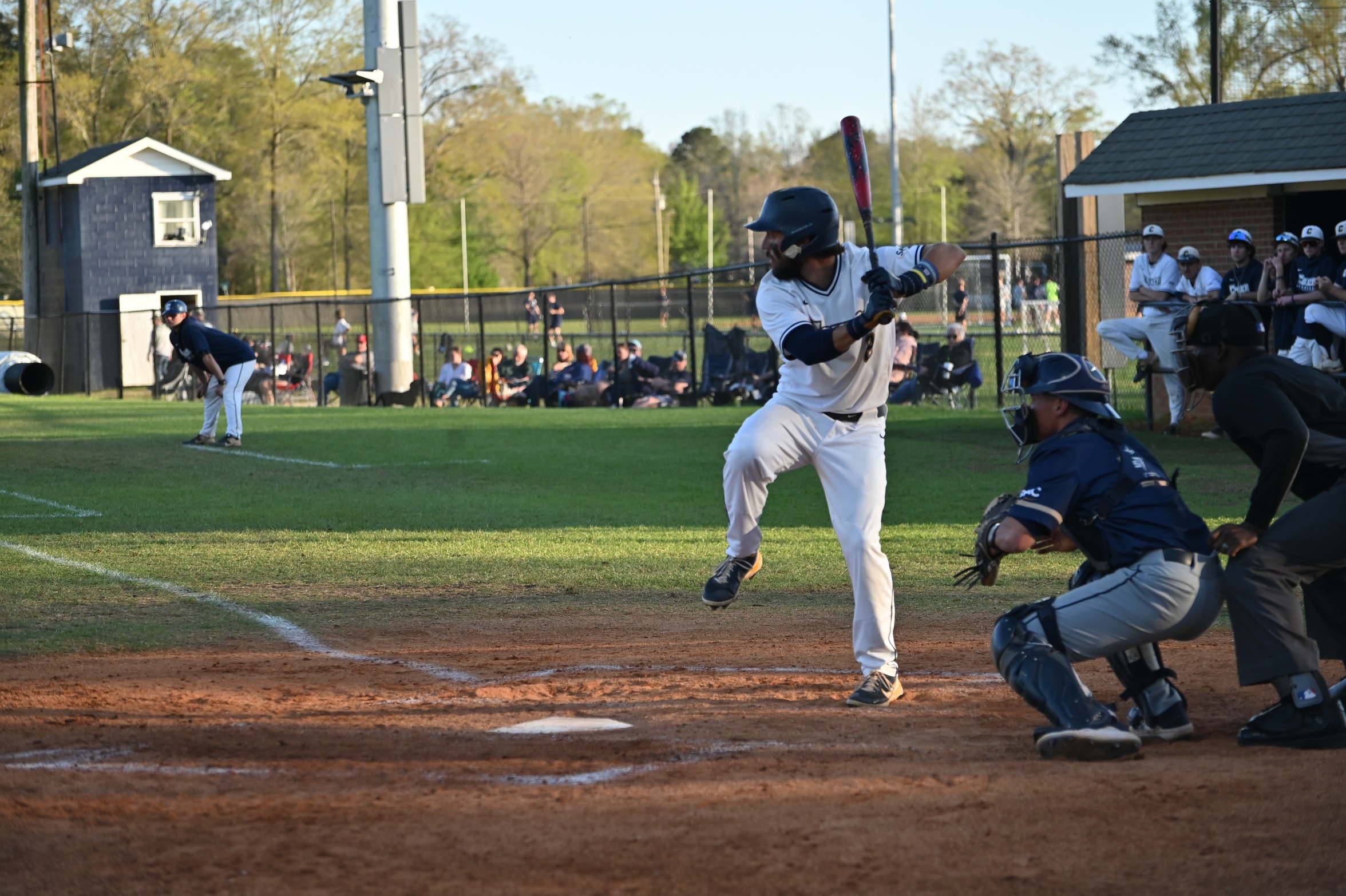 Hall Sets Home Run Record in Loss to Queens (N.C.)
