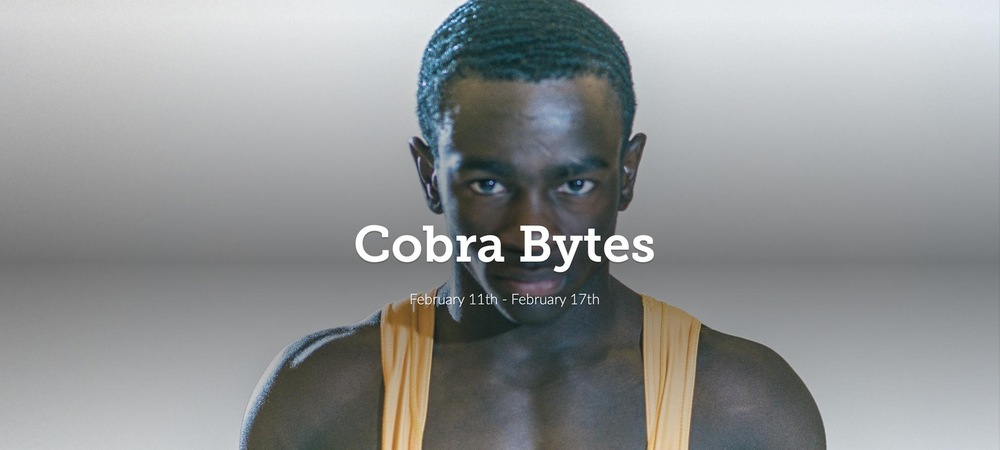Cobra Bytes: Feb. 11 - Feb. 17