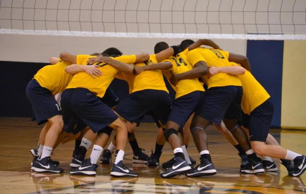 Coker Volleyball to Host Tri-Match