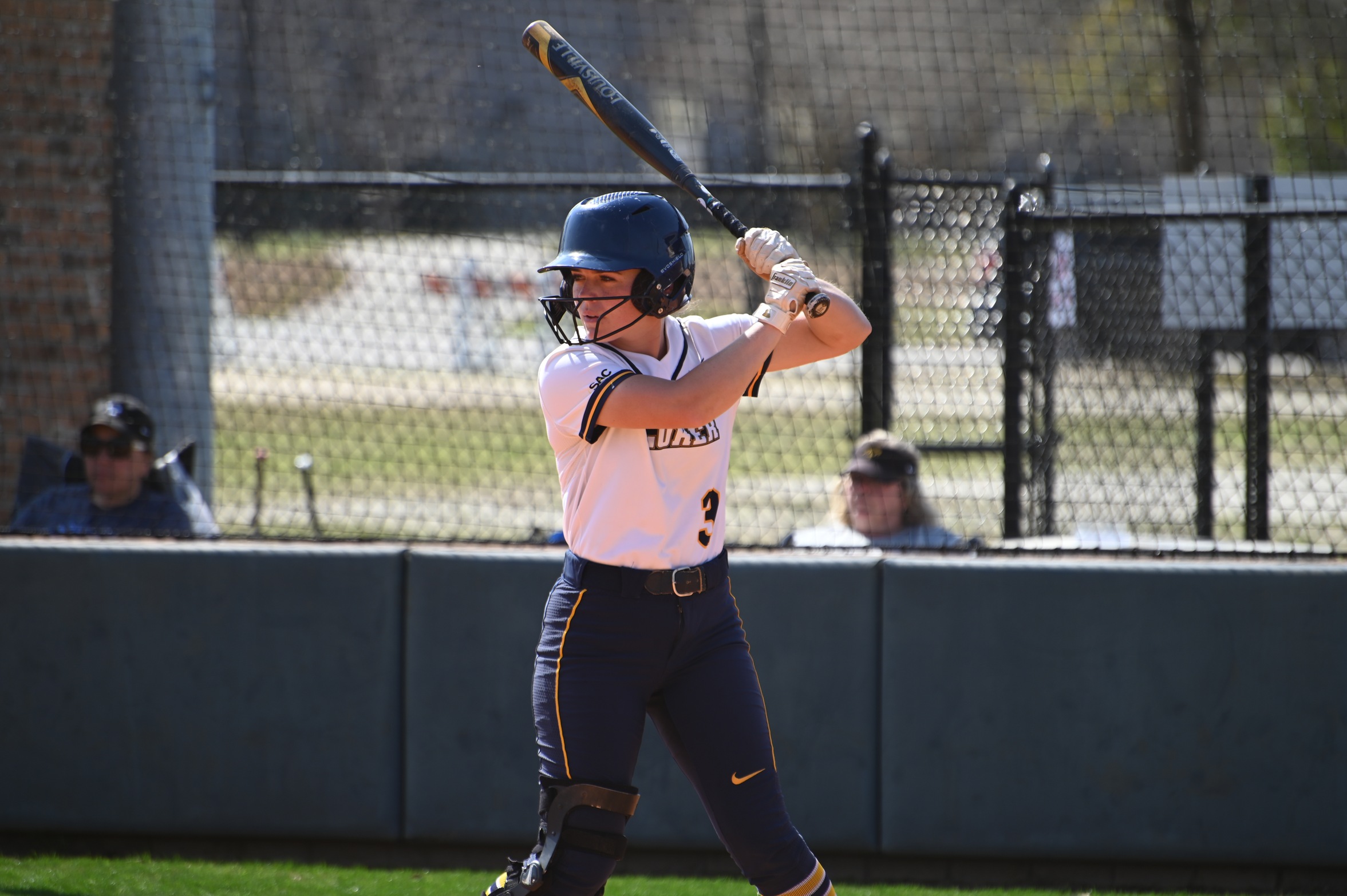 Softball Splits on the Road Against the Lions