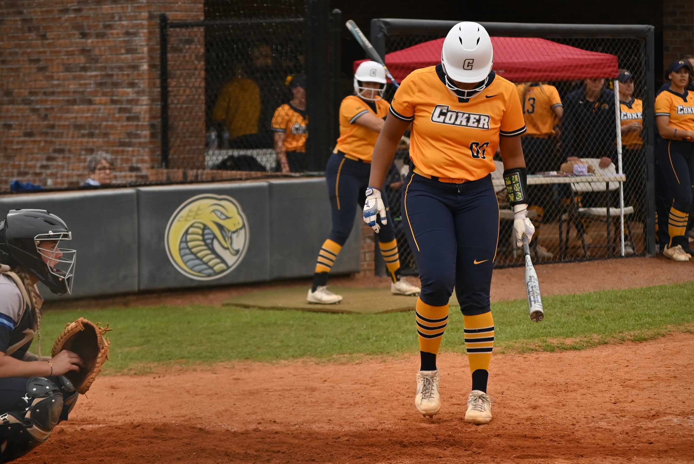 Coker Sweeps Adelphi and Shippensburg on First Day of Round Robin