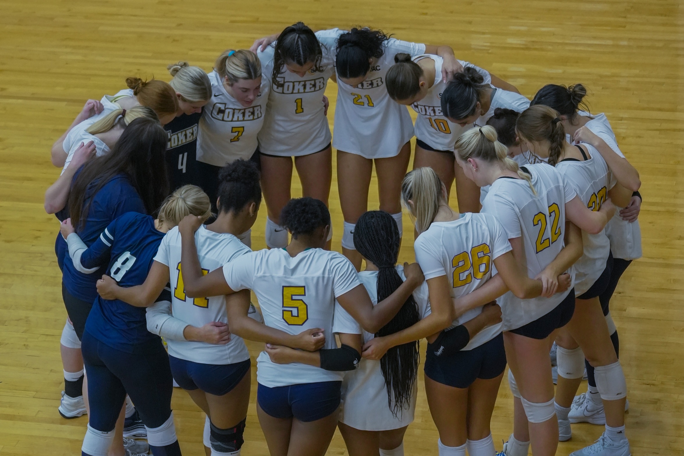 COBRAS FALL IN FOUR TO UVA-WISE