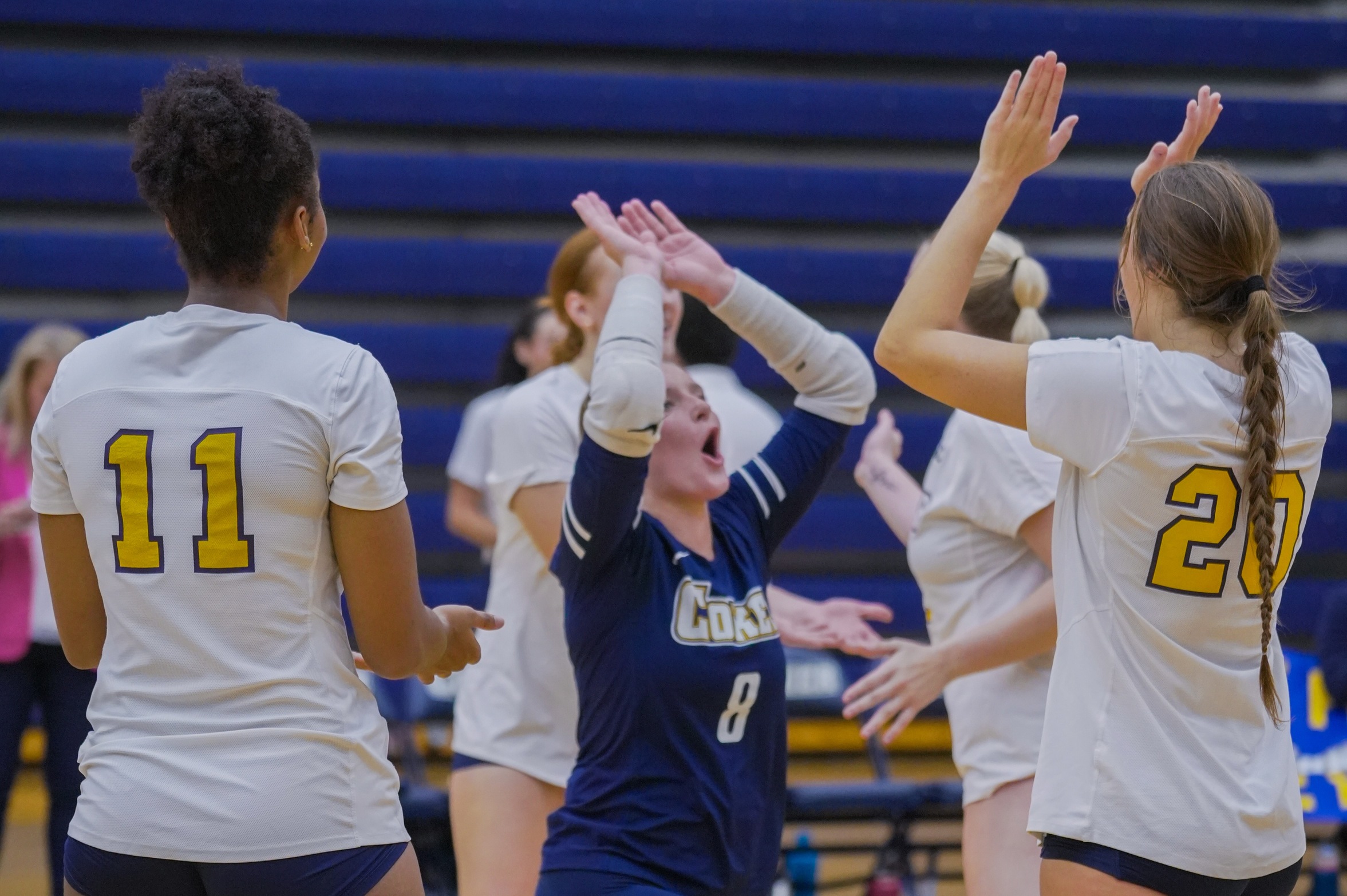 VOLLEYBALL SECURES UPSET OVER CARSON-NEWMAN